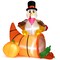 Costway 6 FT Thanksgiving Inflatable Turkey on Cornucopia Harvest Autumn Decor w/Light